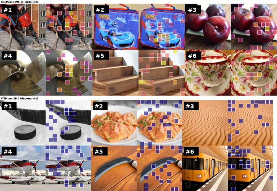 LIME attribution maps over photographs, comparing ResMem's distributed attributions against ViTMem's degenerate ones